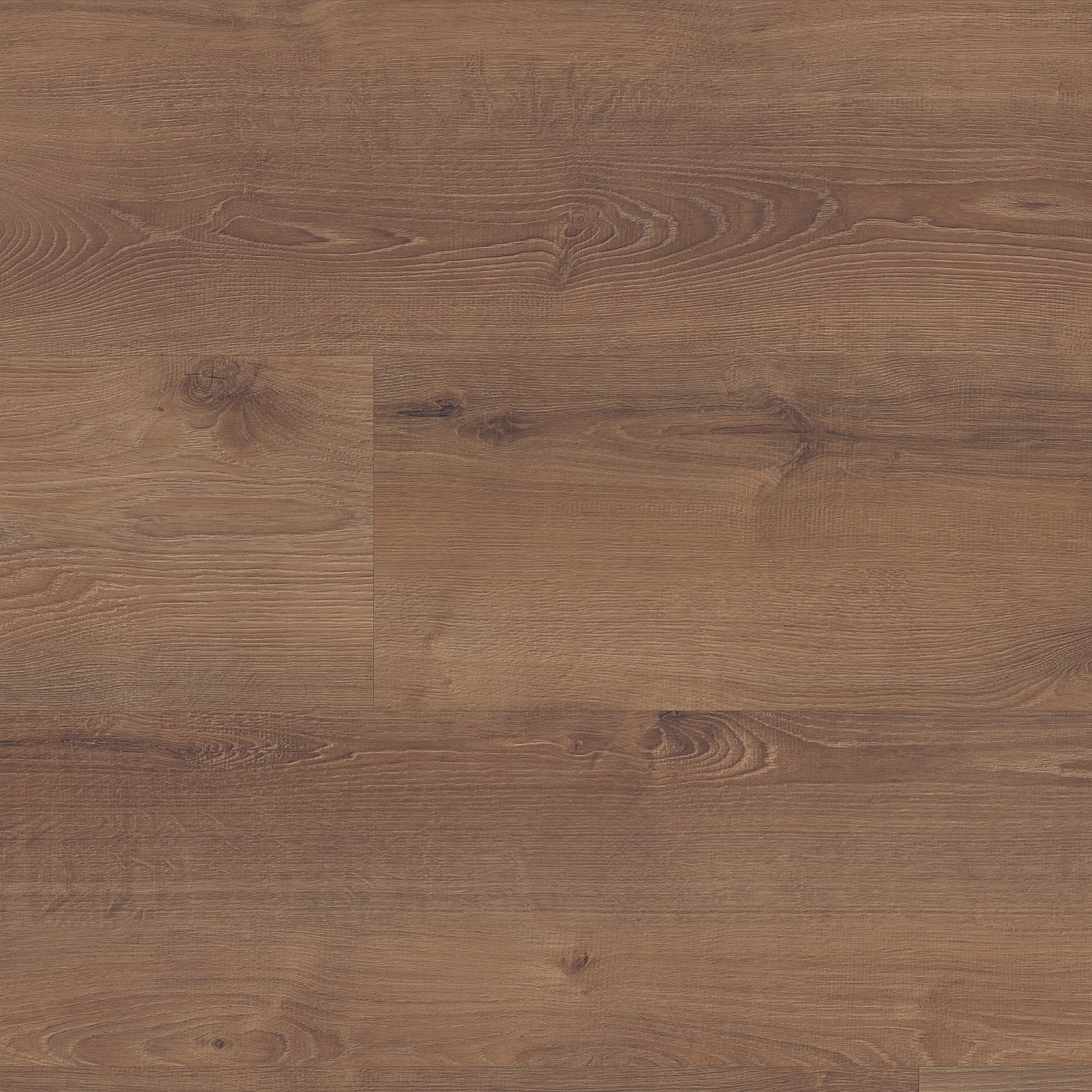 rialto eik midden bruin