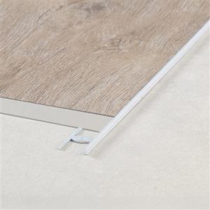 Egalisatie profiel zilver