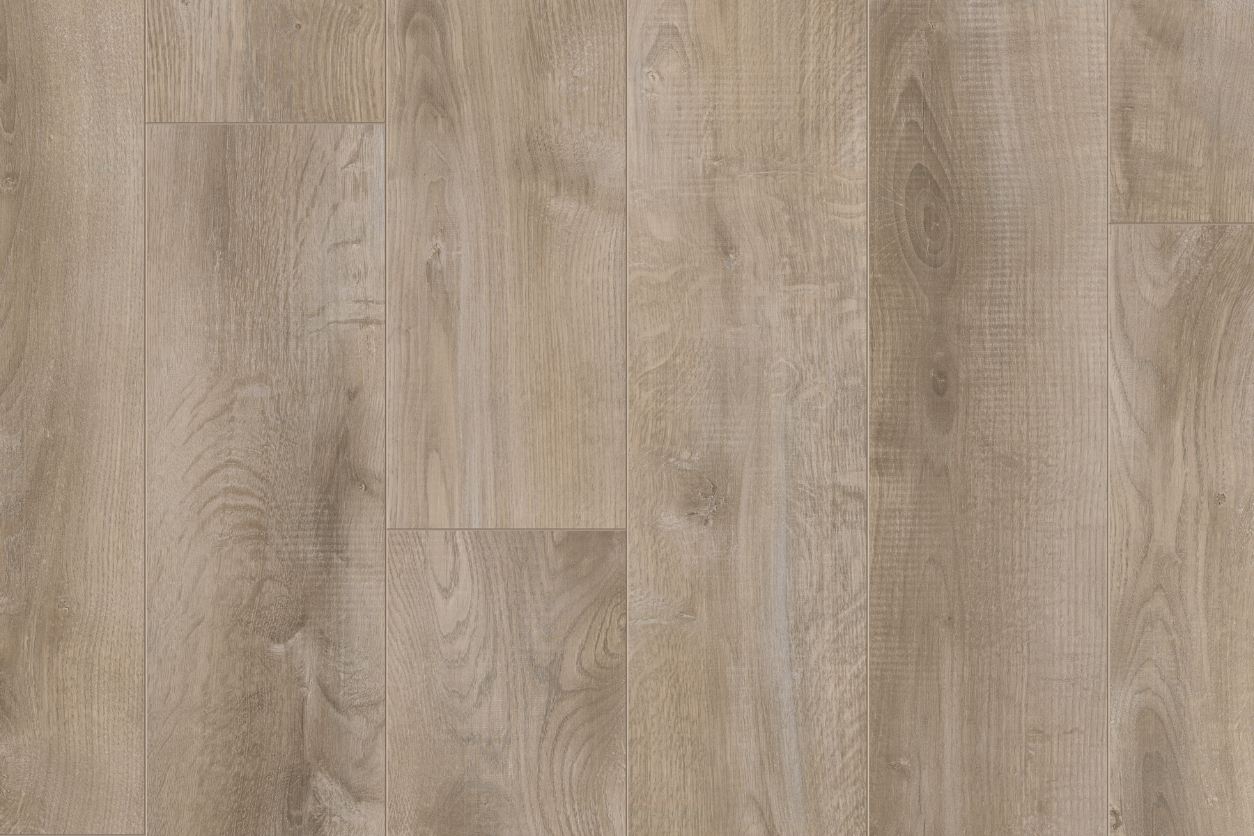 Saffier Estrada - Afbeelding 2