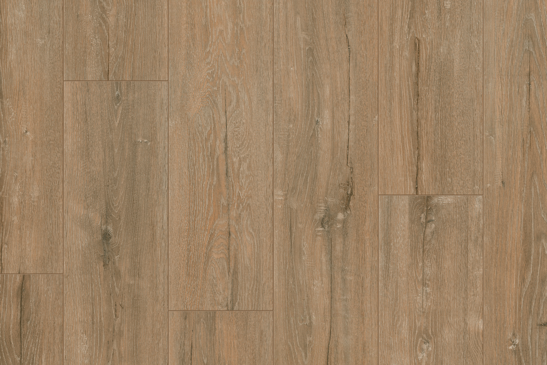 Saffier Estrada - Afbeelding 13