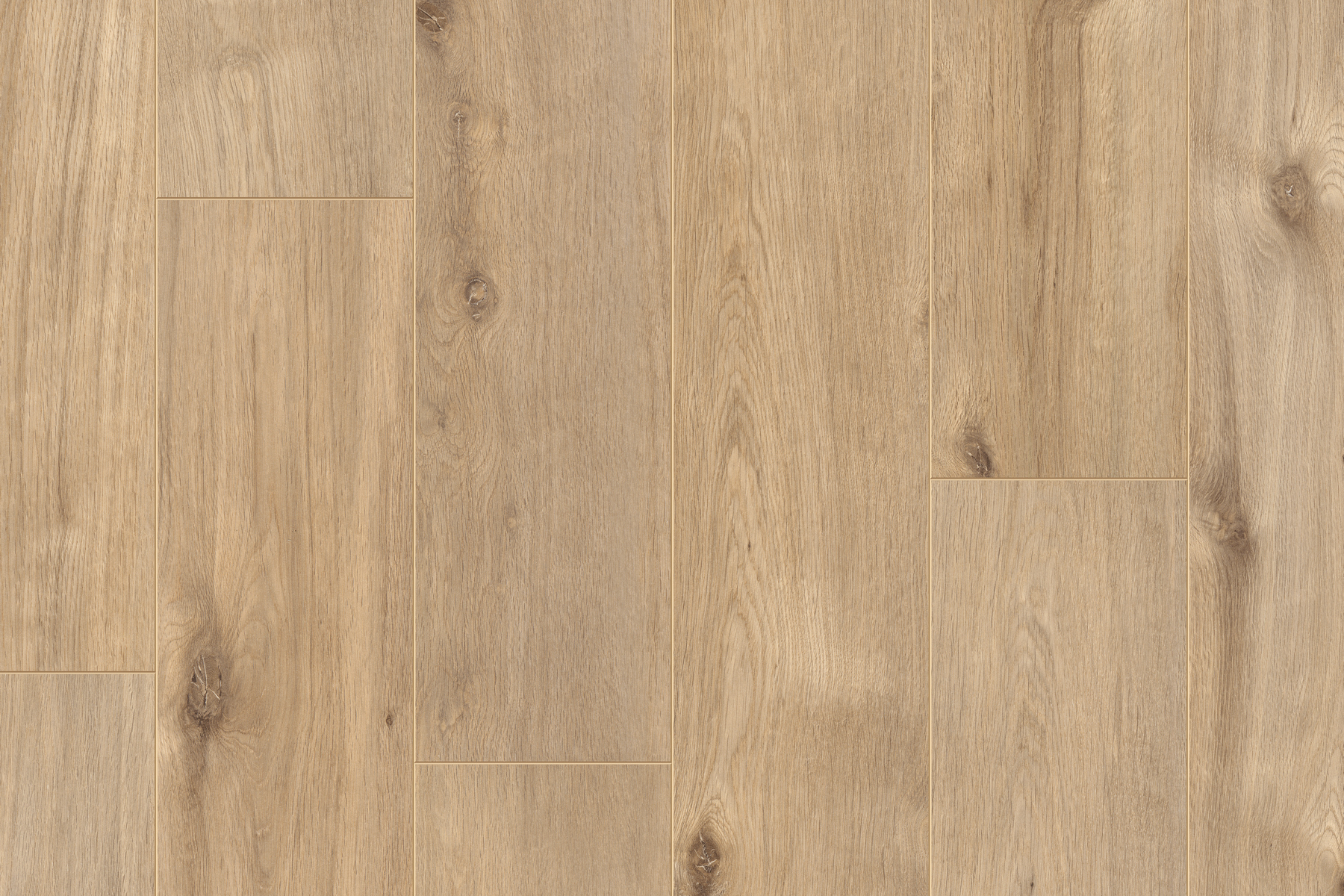 Saffier Estrada - Afbeelding 12