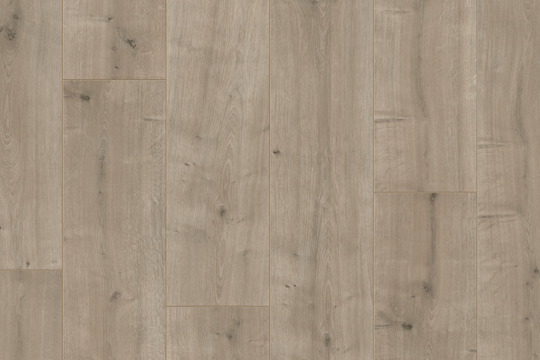 Saffier Estrada - Afbeelding 11