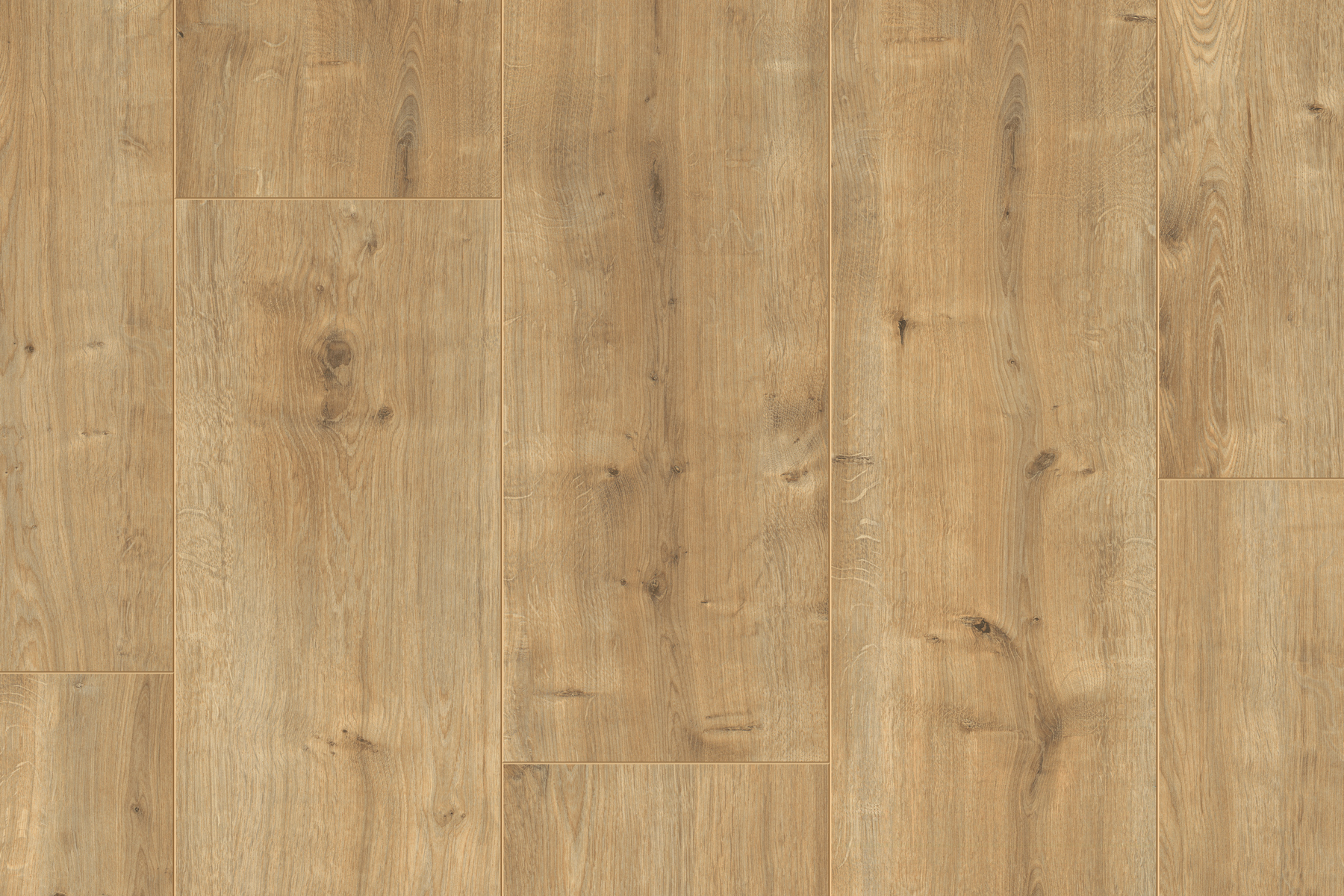 Saffier Estrada - Afbeelding 10