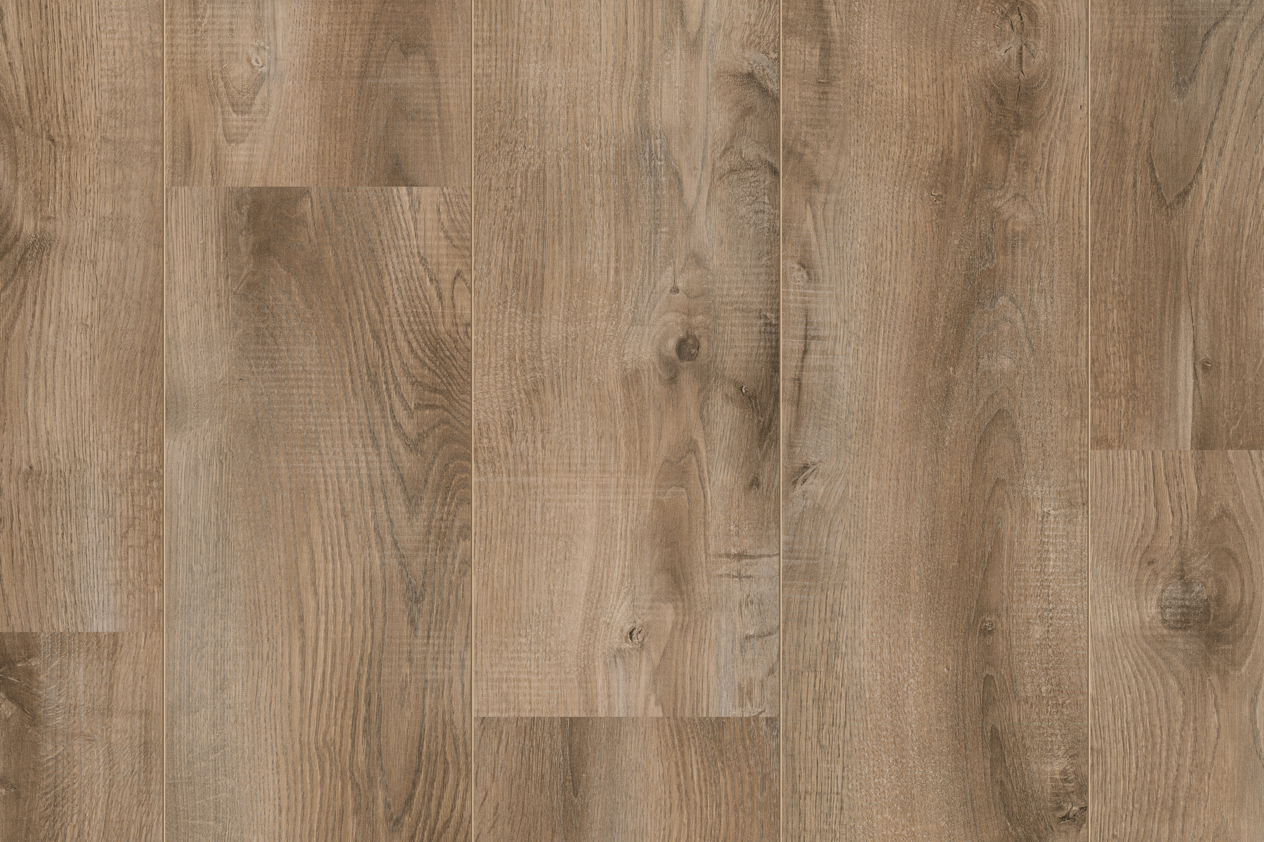 Saffier Estrada - Afbeelding 9