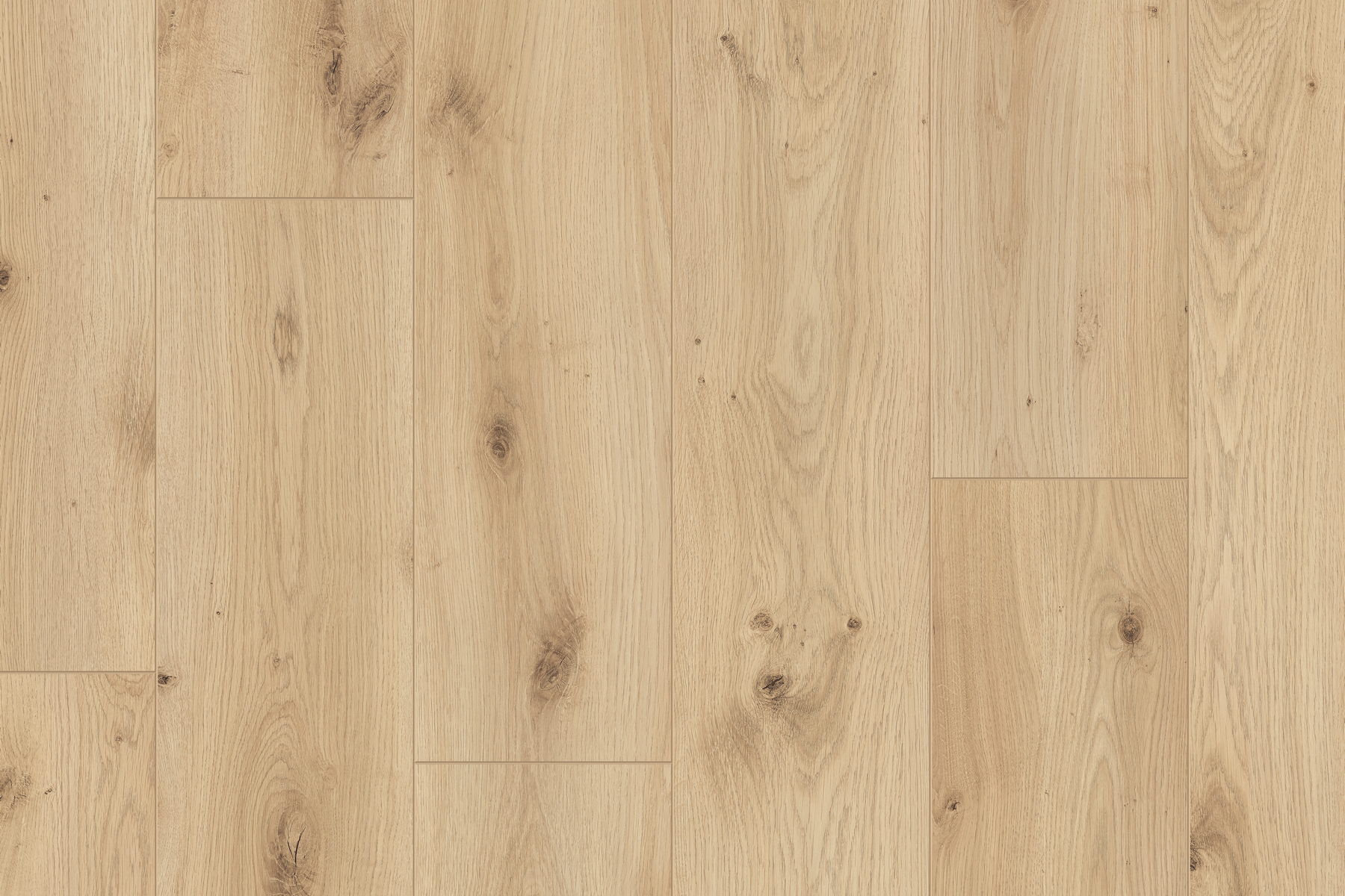 Saffier Estrada - Afbeelding 7