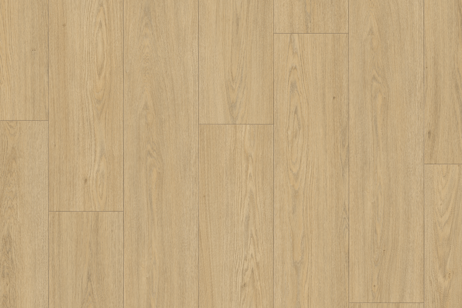 Saffier Boulevard - Afbeelding 2