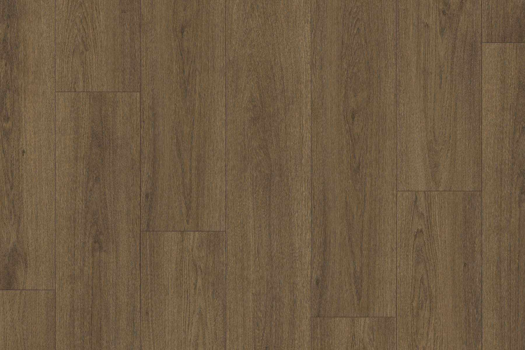 Saffier Boulevard - Afbeelding 5