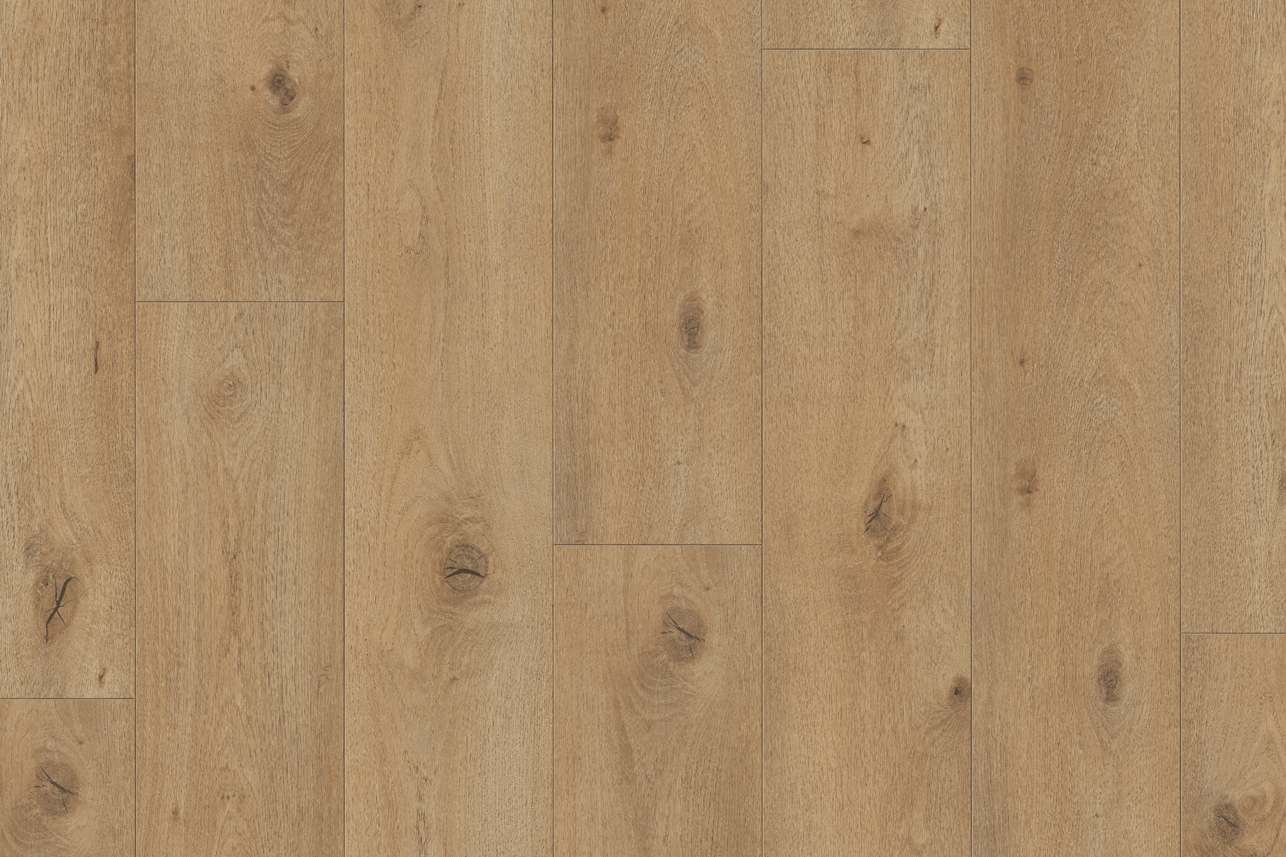 Saffier Boulevard - Afbeelding 8