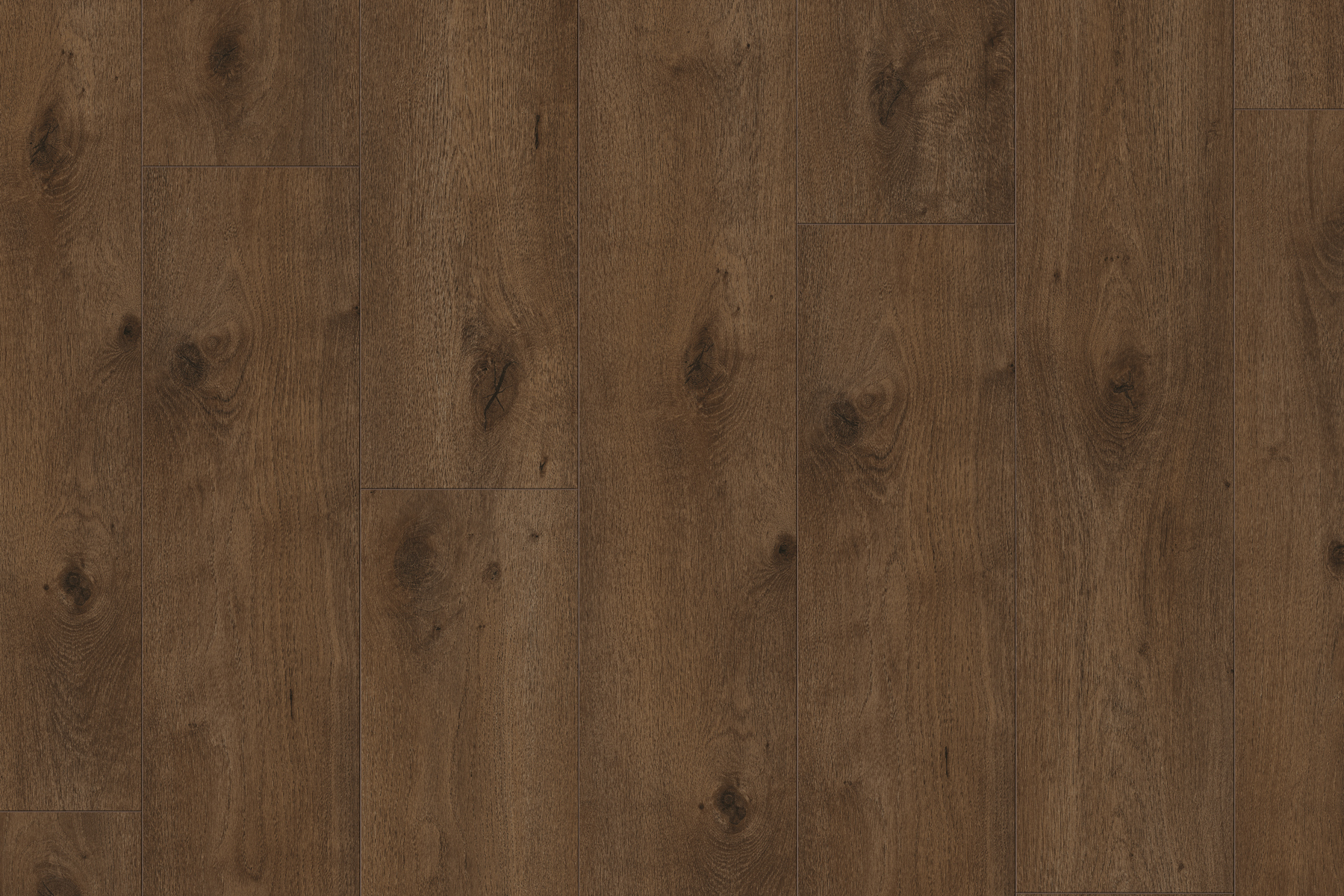 Saffier Boulevard - Afbeelding 9