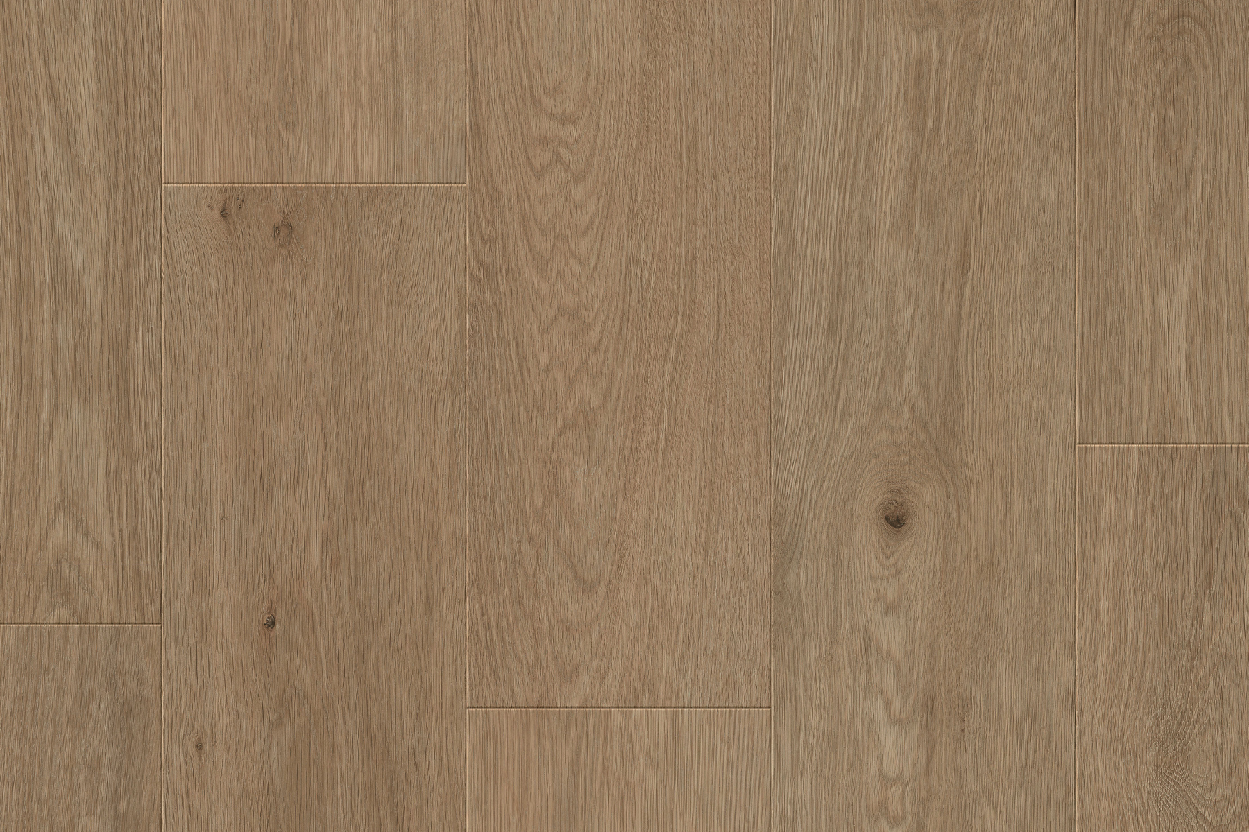 Saffier Estrada - Afbeelding 6