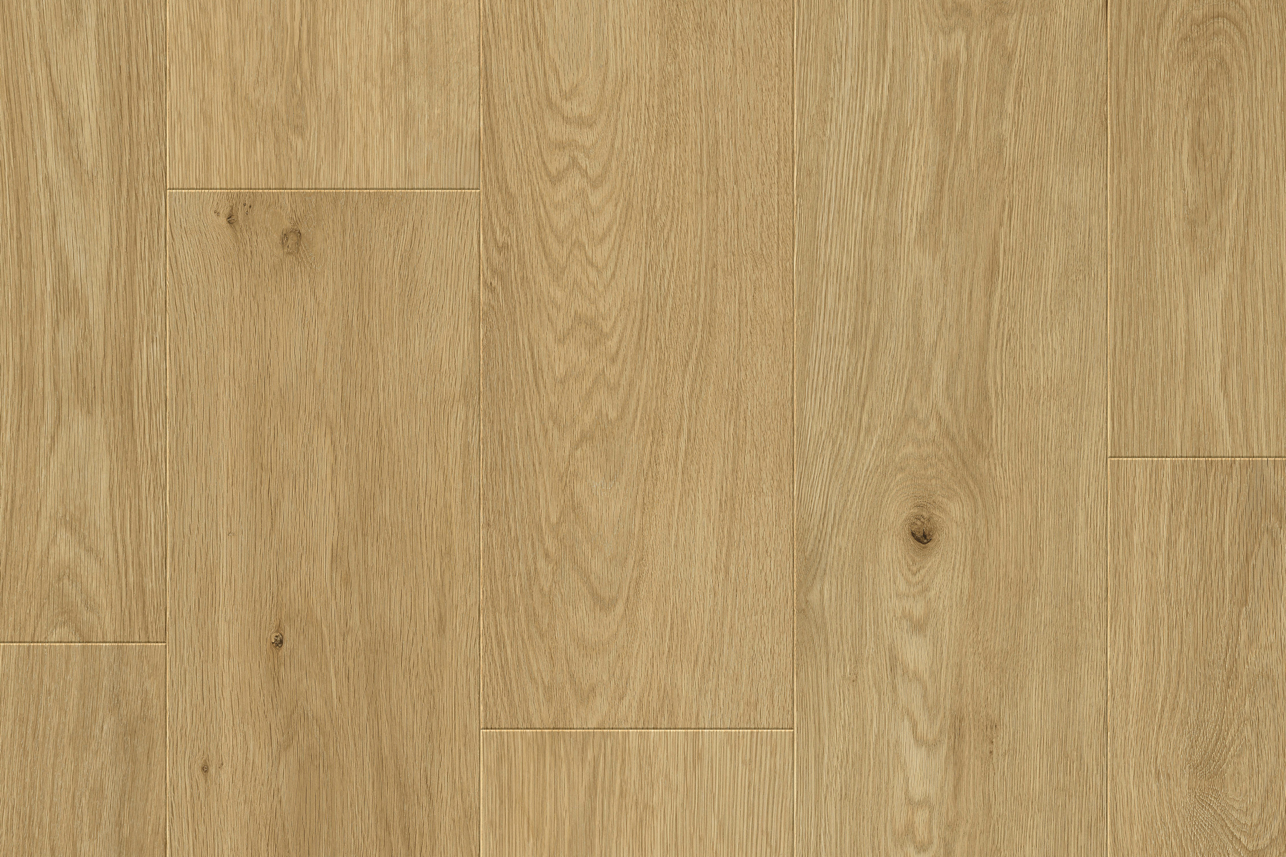 Saffier Estrada - Afbeelding 5