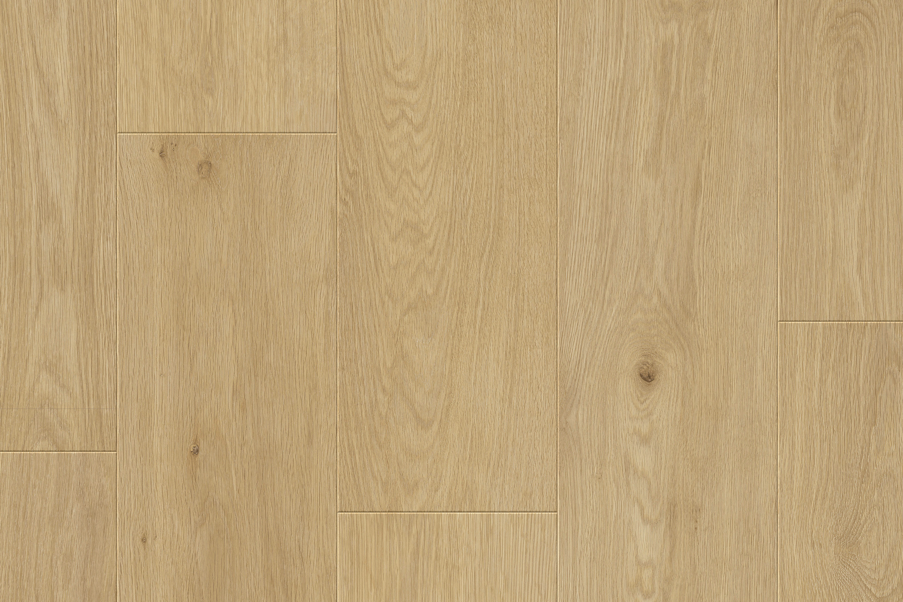 Saffier Estrada - Afbeelding 4