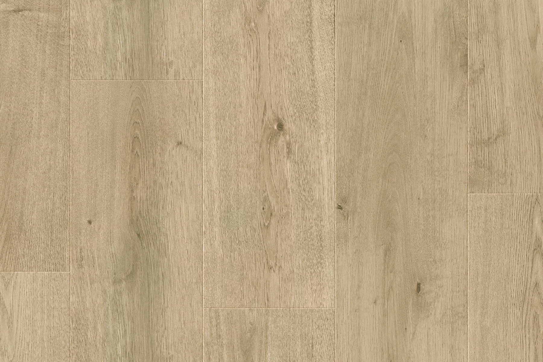 Saffier Estrada - Afbeelding 3