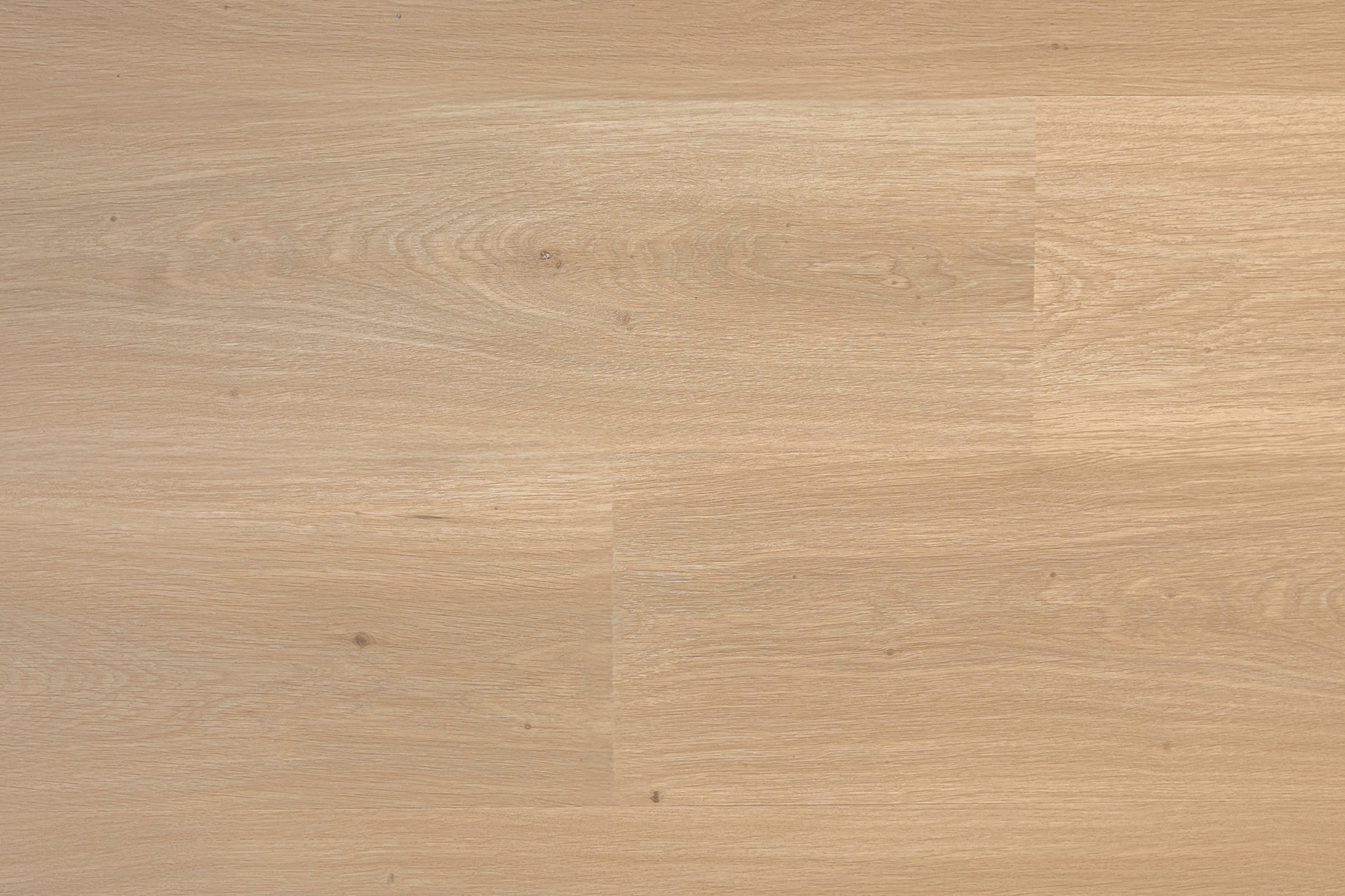 Saffier Allee plank - Afbeelding 5